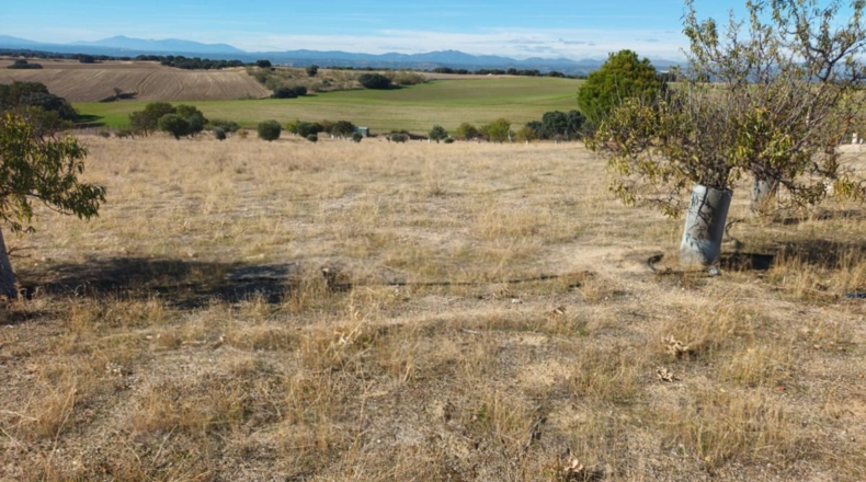 Comunidad de Madrid - Brunete - 10000m2