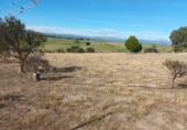 Finca rústica en venta en Brunete ref: TR62591 foto