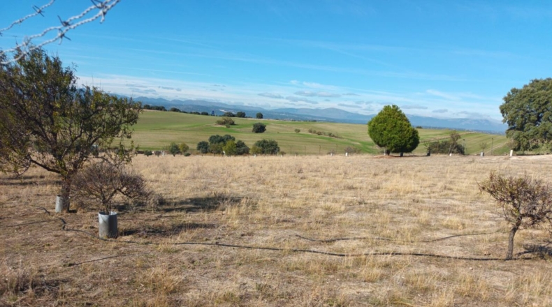 Comunidad de Madrid - Brunete - 10000m2