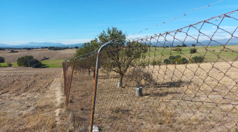 Comunidad de Madrid - Brunete - 10000m2