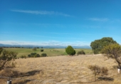Finca rústica en venta en Brunete ref: TR62591 foto