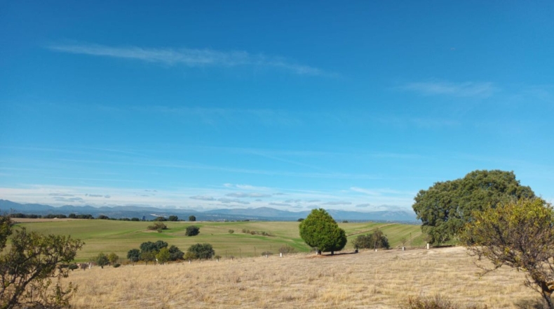 Comunidad de Madrid - Brunete - 10000m2