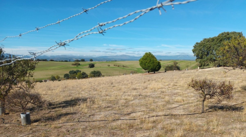 Comunidad de Madrid - Brunete - 10000m2
