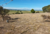 Finca rústica en venta en Brunete ref: TR62591 foto