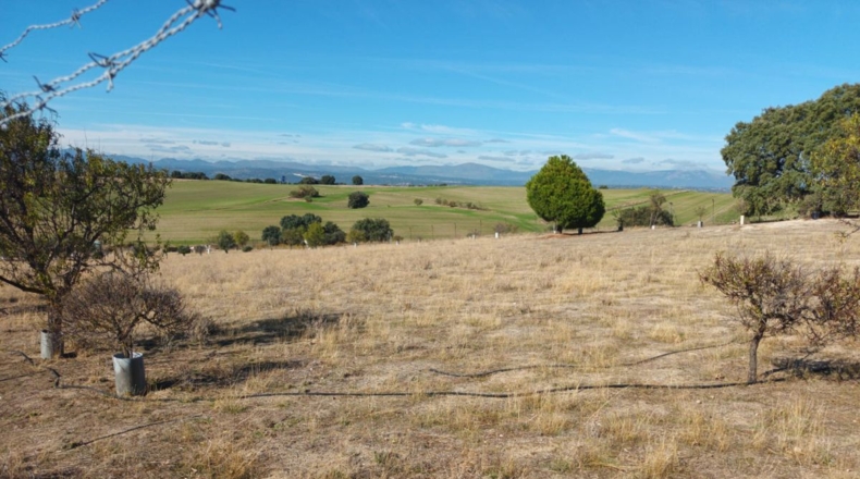 Comunidad de Madrid - Brunete - 10000m2