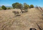 Finca rústica en venta en Brunete ref: TR62591 foto