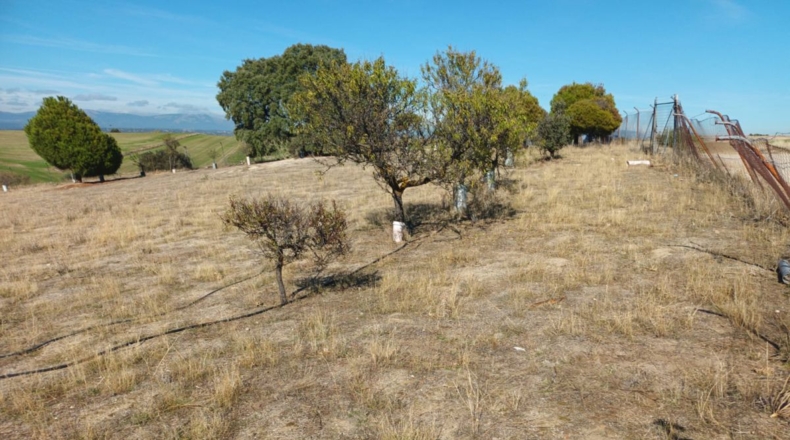 Comunidad de Madrid - Brunete - 10000m2