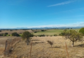 Finca rústica en venta en Brunete ref: TR62591 foto