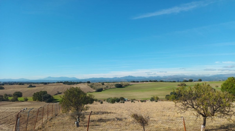 Comunidad de Madrid - Brunete - 10000m2