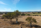 Finca rústica en venta en Brunete ref: TR62591 foto