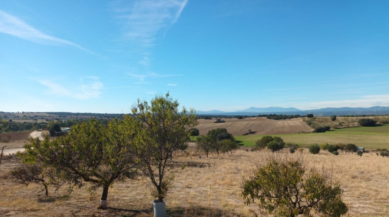 Comunidad de Madrid - Brunete - 10000m2