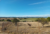 Finca rústica en venta en Brunete ref: TR62591 foto