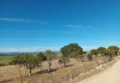 Finca rústica en venta en Brunete ref: TR62591 foto