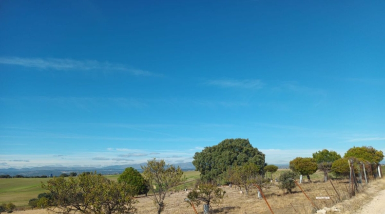Comunidad de Madrid - Brunete - 10000m2