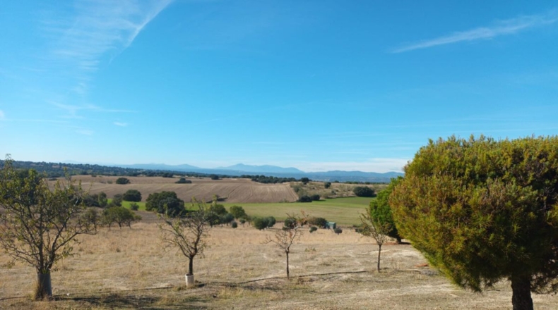 Comunidad de Madrid - Brunete - 10000m2