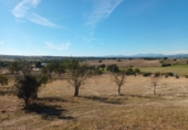 Finca rústica en venta en Brunete ref: TR62591 foto