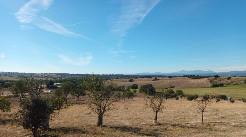 Comunidad de Madrid - Brunete - 10000m2