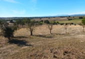 Finca rústica en venta en Brunete ref: TR62591 foto