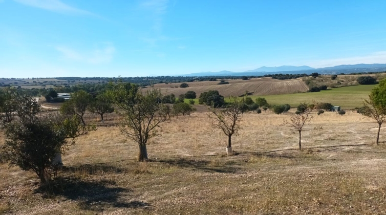 Comunidad de Madrid - Brunete - 10000m2