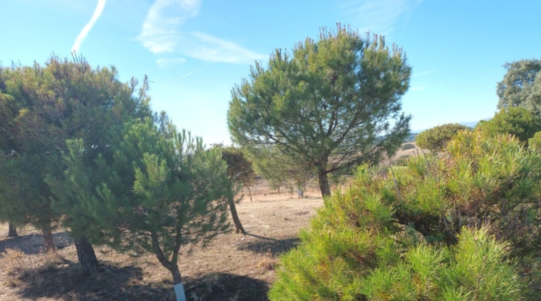Comunidad de Madrid - Brunete - 10000m2