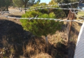 Finca rústica en venta en Brunete ref: TR62591 foto