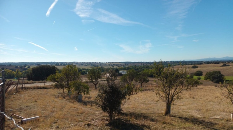Comunidad de Madrid - Brunete - 10000m2