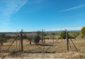 Finca rústica en venta en Brunete ref: TR62591 foto