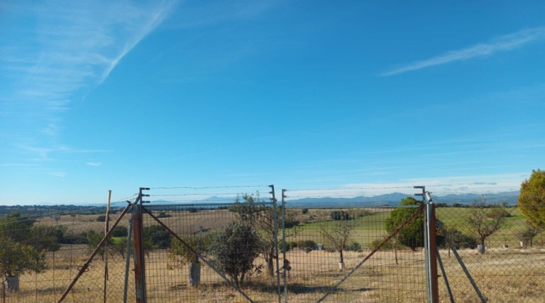 Comunidad de Madrid - Brunete - 10000m2
