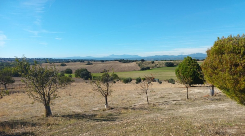 Comunidad de Madrid - Brunete - 10000m2