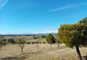 Finca rústica en venta en Brunete ref: TR62591 foto