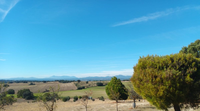 Comunidad de Madrid - Brunete - 10000m2