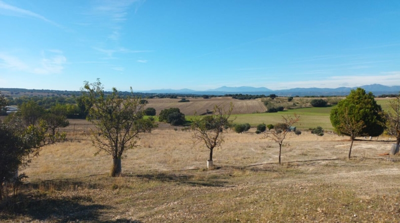 Comunidad de Madrid - Brunete - 10000m2