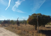 Finca rústica en venta en Brunete ref: TR62591 foto
