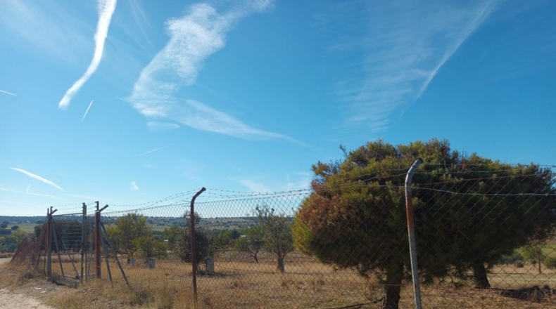 Comunidad de Madrid - Brunete - 10000m2