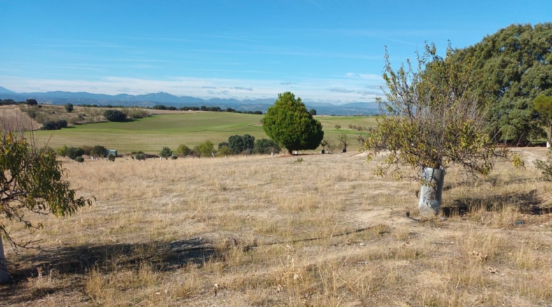 Comunidad de Madrid - Brunete - 10000m2