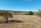 Finca rústica en venta en Brunete ref: TR62591 foto