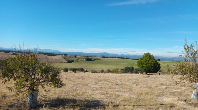 Comunidad de Madrid - Brunete - 10000m2