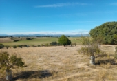 Finca rústica en venta en Brunete ref: TR62591 foto