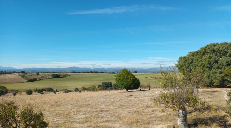 Comunidad de Madrid - Brunete - 10000m2