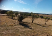 Finca rústica en venta en Brunete ref: TR62591 foto