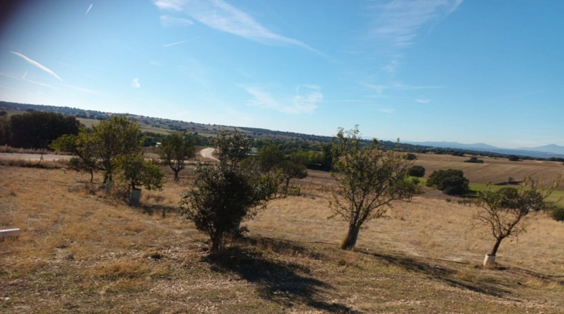 Comunidad de Madrid - Brunete - 10000m2