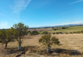 Finca rústica en venta en Brunete ref: TR62591 foto