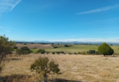 Finca rústica en venta en Brunete ref: TR62591 foto