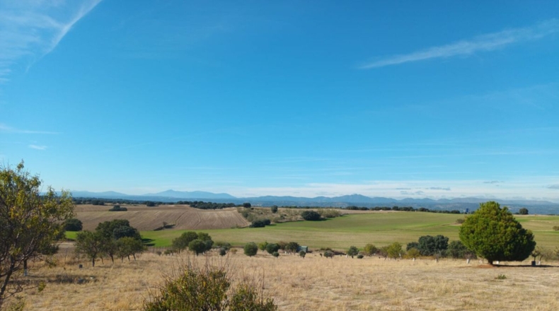 Comunidad de Madrid - Brunete - 10000m2