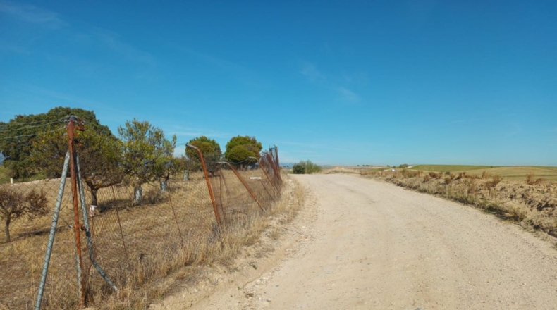 Comunidad de Madrid - Brunete - 10000m2