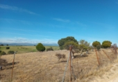 Finca rústica en venta en Brunete ref: TR62591 foto