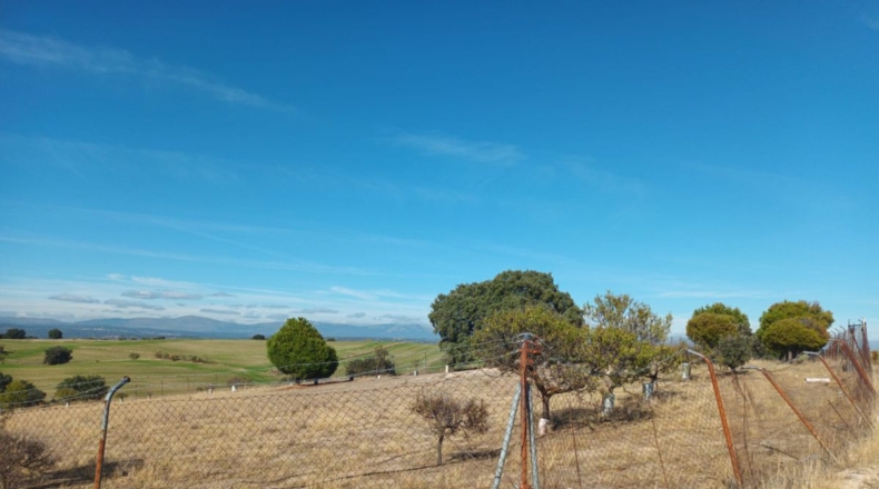 Comunidad de Madrid - Brunete - 10000m2