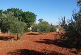 Foto 4