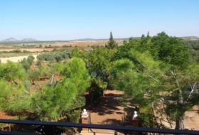 Foto 15