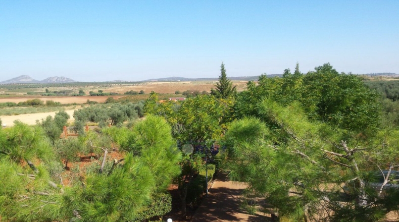 Badajoz - Alange - 8000m2